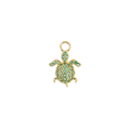 Cassandra Charm